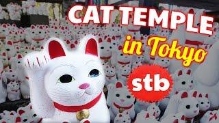 Gotokuji CAT TEMPLE // Maneki Neko Fiesta in Tokyo, Japan