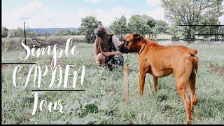 A Day on the Homestead: A Small Vegetable Garden Tour