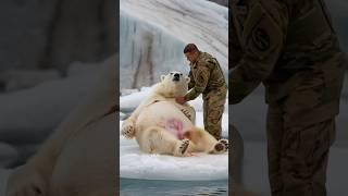 A soldier rescues a trapped pregnant polar bear, enabling her to safely give birth. #polarbear