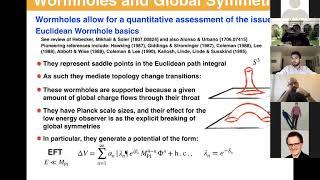 Miguel Escudero: Euclidean Wormholes and their implications for the Axion quality problem