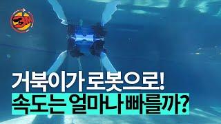 로봇 거북이는 토끼를 이길 수 있을까? [3분있슈/ep58]