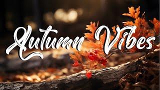 Autumn Vibes 2024 - Indie Folk/Pop Music Playlist - - Positive Indie Vibes