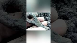 ЗАЛІЗНА ЗНАХІДКА2 #metaldetecting #histori