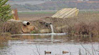 Protección de aguas superficiales DPR (Subtítulos en español)