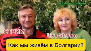 Переезд в Болгарию! Стрим. Говорим о насущном. Покупка дома, место, соседи.