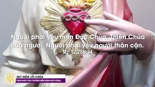 Suy Niệm Lời Chúa, Chúa Nhật Tuần XXXI Thường Niên Năm B (03/11/2024)