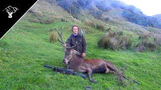 HUNTING BIG STAGS | Late Roar Deer Hunting NZ