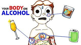 How Alcohol Changes Your Body