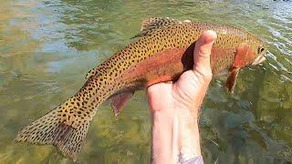 Fly Fishing the Bushkill Creek, "One of Eastern PA's Urban/Suburban Limestoners"