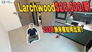Larchwood驗樓$26,600/呎之納米樓開箱️高價出貨謎底係咩⁉️｜宏安｜FINNIE｜胡‧說樓市