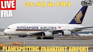 LIVE Planespotting Frankfurt | 2x Singapore Airlines A380 | Zwischenlandung aus Teruel 9V-SKT