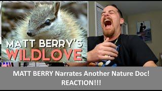 American Reacts MATT BERRY'S Wild Love REACTION