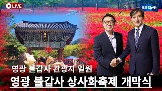 [LIVE](조국혁신당) 영광 불갑사 상사화축제 개막식(9/13. 오후6시30분)-조국 대표 참석(장현 영광군수 후보 동행)#조국#장현#영광#불갑사#상상화축제