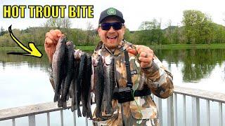 Stocked Trout Fishing with Micetails & Power Eggs After Massive Rainstorm