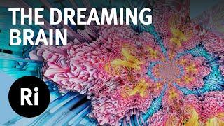 What Do Our Brains Do When We're Dreaming?- with Mark Solms