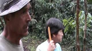 Raices - Roots. Finca Integral Didáctica