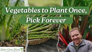 9 Vegetables That Just Keep Giving! Plant Once, Pick Forever! Part 3