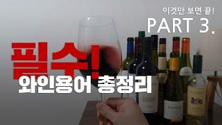 [와인 상식 #03]와인 용어 한번에 정리하기 _ 이것만 알면 진짜 와인 초보 탈출 _ Part. 3/3