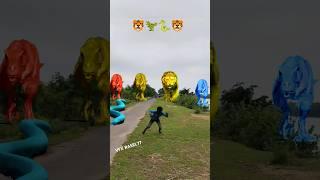 Big dinosaur chase T-rex chasing part -571#shorts #dinosaur #youtube #dinosaurs #superman #dinner