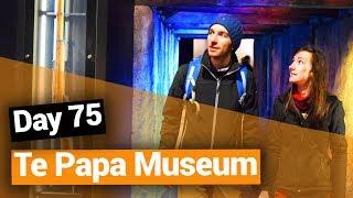 ️ Te Papa Museum in Wellington - New Zealand's Biggest Gap Year – Backpacker Guide New Zealand