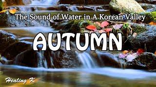 4K Video | The Sound of Water in A Korean Valley | Autumn  Relaxing ASMR