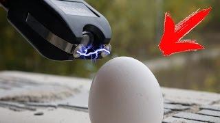 I CAN TASER ROAST EGG ?! DO NOT REPEAT !