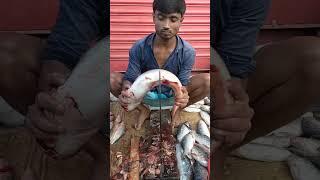 Amazing Pangash Fish Cutting Skill #shorts #ffbd #fish_cutting_bd