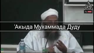 Шейх 'Усаймин о саляфитах, аш'аритах и матрудитах. Кто такой Мухаммад Дуду?