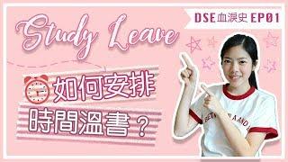 Study Leave 溫習時間分配攻略 | DSE血淚史EP.1