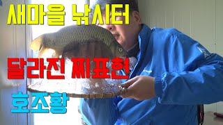 #새마을낚시터 달라진 찌표현 #호조황 #원테이크 #경원에프앤비 #경원 #마약붕어 #이준열프로