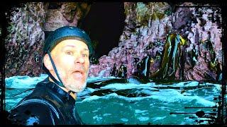 Exploring HIDDEN Sea Caves of The Catlins  New Zealand Coastal Adventure