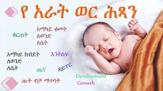 የ አራት  ወር ጨቅላ ሕጻናት እድገት || 4 Month Baby Growth and Development