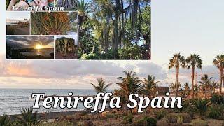 Tenireffa Spain/ Natures Beauty Summer 2022