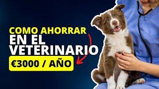 Los 20 Mejores Seguros para Mascotas: Guía Definitiva 2025 