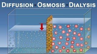 Diffusion, Osmosis and Dialysis (IQOG-CSIC)