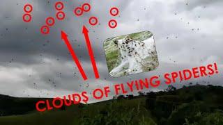 FLYING SPIDER CLOUDS ARE REAL! | How It Works? #flyingspiders #howitworks