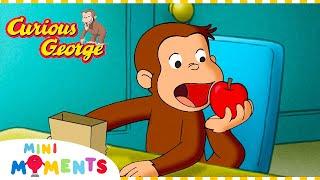 Curious George | George Helps Out! | 1 Hour | Mini Moments