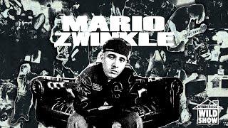 MARIO ZWINKLE | STARCROSS WILD SHOW