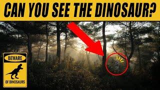 Find the Hidden Dinosaur | Hidden Animals Optical Illusions 