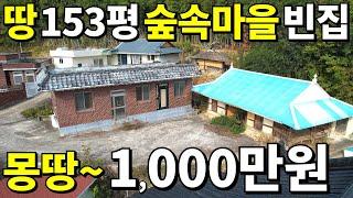 조용한 숲속 마을 빈집 + 대지 153평=몽땅~1,000만원에 가져가세요~ 빈집벌금 무서워 더는 못 버틴다 횡재나 다름없는 헐값주택