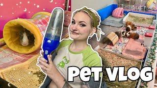 DEEP CLEANING PET ROOM, PET UPDATES & MORE | PET VLOG |