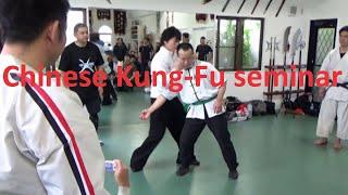 宮平保先生　中国武術セミナー　master TAMOTSU MIYAHIRA Chinese kung-fu seminar