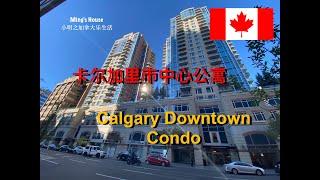 卡尔加里市中心公寓！Calgary Downtown Condo