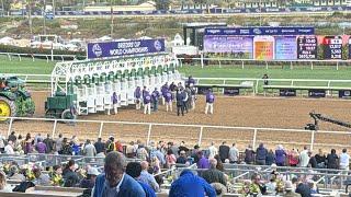 An Honest Day Punting - Breeders Cup Day - Pt1