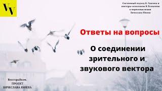 О соединении зрительного и звукового вектора. ВектораВсем. Проект Вячеслава Юнева