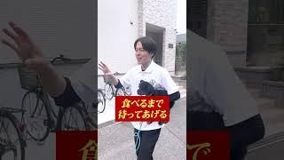 【犬しつけ】愛犬の食べムラへの対処法