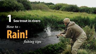 How to • Rain! • Sea trout in Rivers • fishing tips