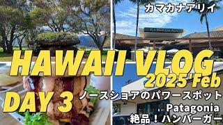 【HAWAII VLOG　2025’Feb】ノースショアのパワースポットや絶品バーガーを巡るドライブデー。カマカナアリイにも行ってみた！