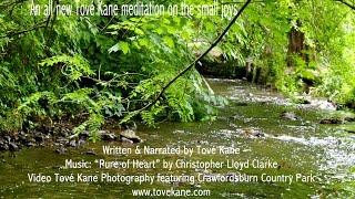 Tove Kane meditation on the small joys