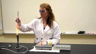 How to Inoculate & Interpret a TSI Slant - MCCC Microbiology